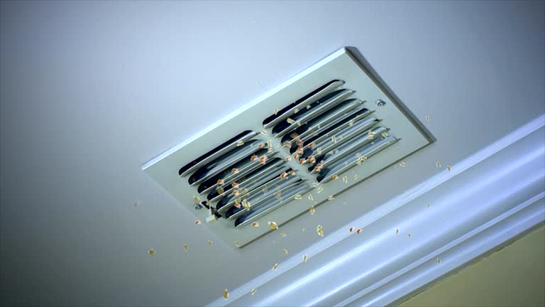 Best Affordable Duct Cleaning Services  in Baldwin, FL