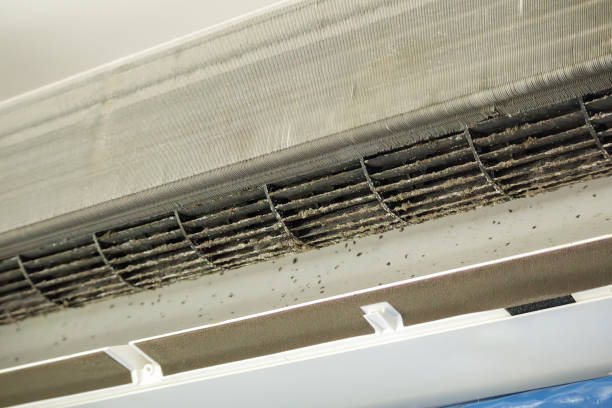 Best HVAC Duct Inspection Services  in Baldwin, FL